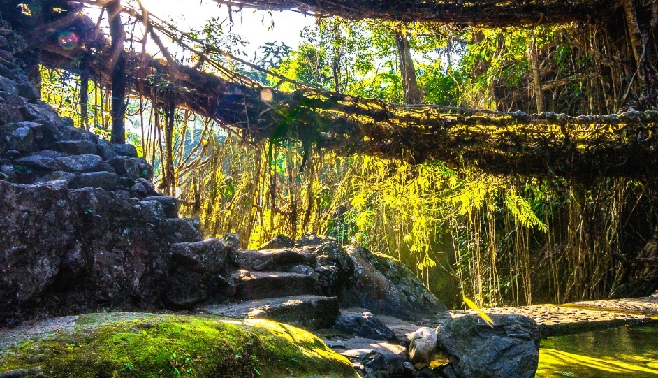 The Seven Sisters: Gems of Meghalaya (7 Days) - Image 3