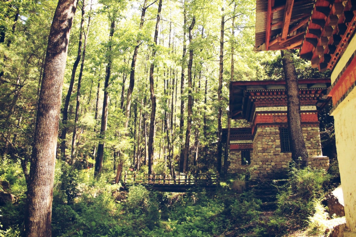 Glimpse of Bhutan - A Cultural Journey Through the Western Valleys
